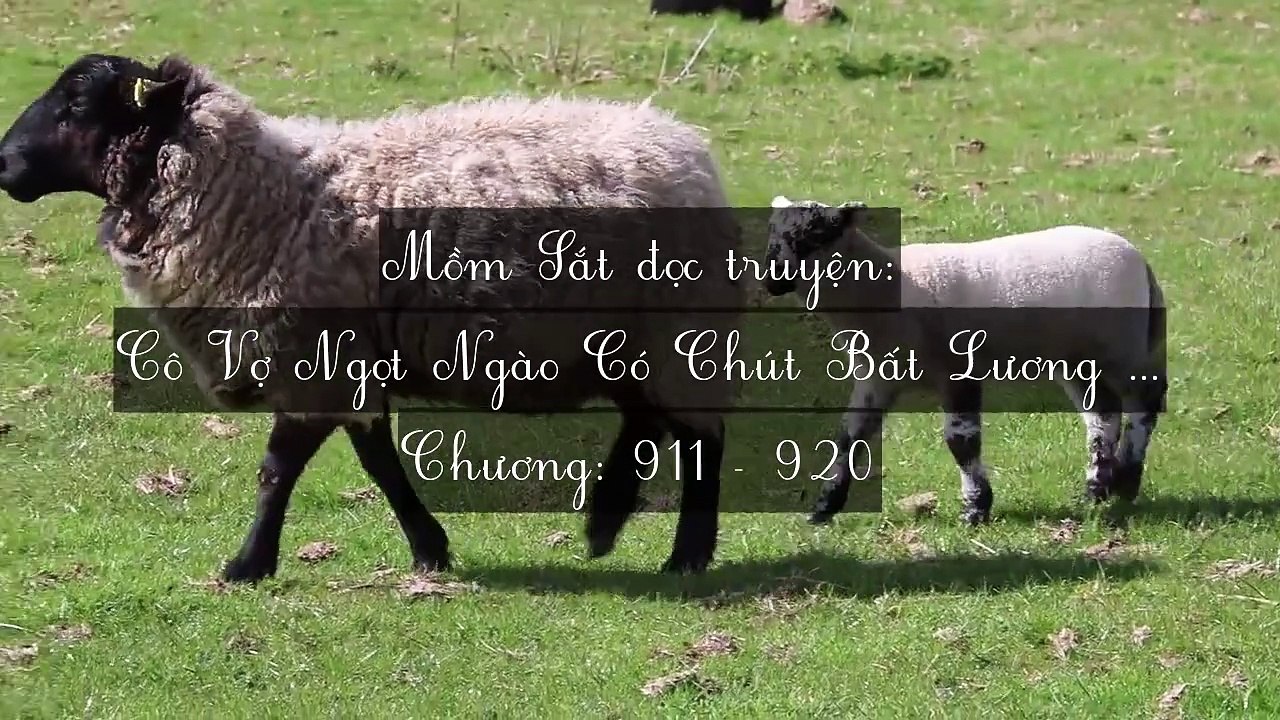 Chương 911-920 Cô Vợ Ngọt Ngào Có Chút Bất Lương (Vợ Mới Bất Lương Có Chút Ngọt)