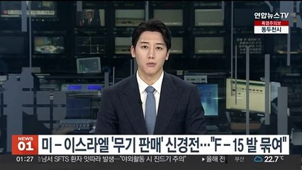 미 - 이스라엘 '무기 판매' 놓고 신경전…"F-15 발 묶여"