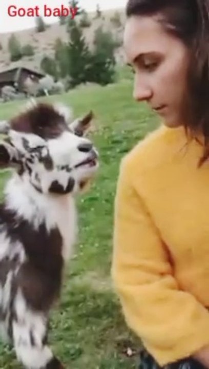 Beautiful girl ♥️and and goat baby ❤️singing