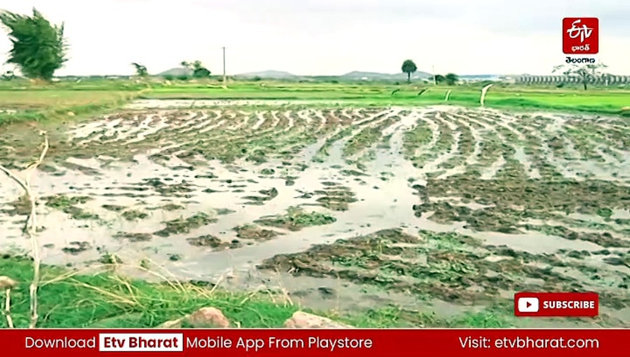 వచ్చే నెల నుంచి దశల వారీగా రూ.2 లక్షల రుణమాఫీ!