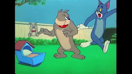 Means Nap Time!  Classic Cartoon Compilation  WB Kids