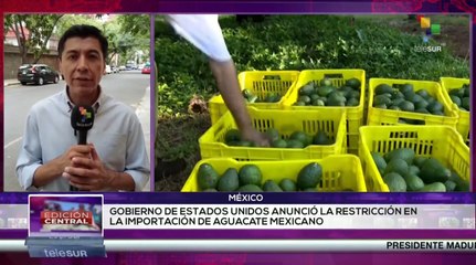 Gobierno de Estados Unidos suspendió importación de aguacate mexicano