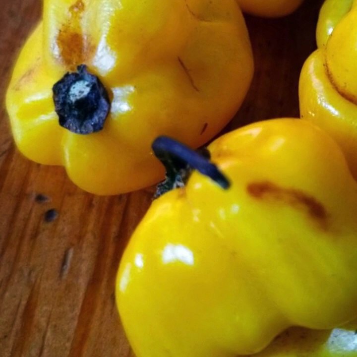 -ANDRÉS DE JESÚS VÉLEZ FRANCO- DESAFÍOS ÉTICOS DE LA IA EN EL ENTRETENIMIENTO (PARTE 2) (@AndresdeJesus90)