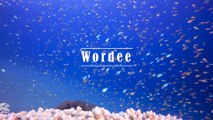 Natural sounds of the ocean with extremely useful sea creatures bring a happy mood and good luck in life - Concentrate on work well_Wordee Entertainment