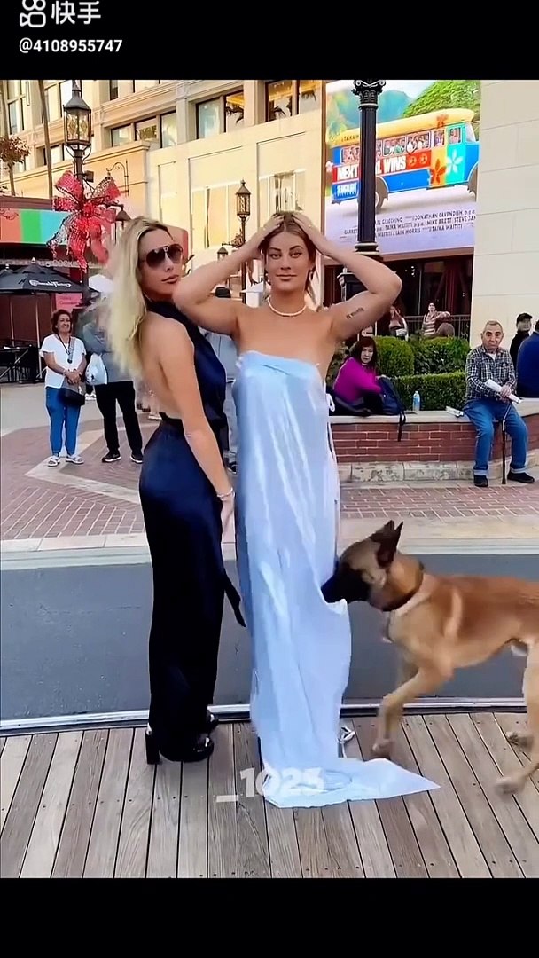 Funny video. Comedy videos