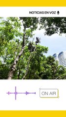 Resumen de noticias jueves 20 de junio