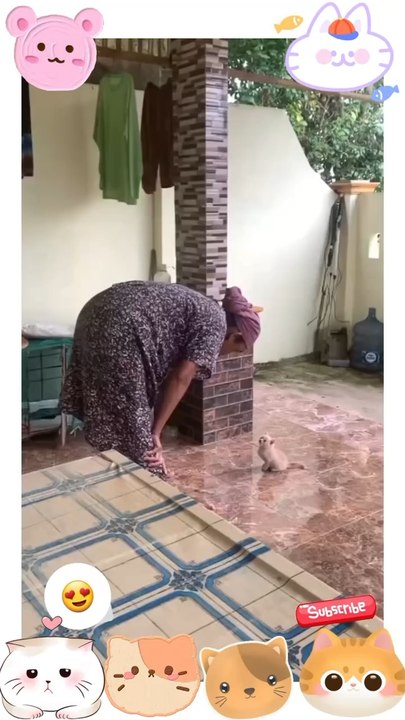 Inilah video terbaru saya