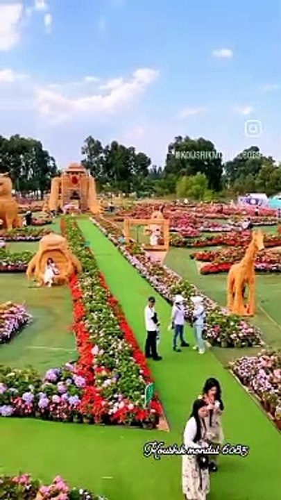 VID_749921210_045954_274
