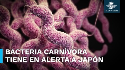 Aumentan casos de bacteria "carnívora" en Japón