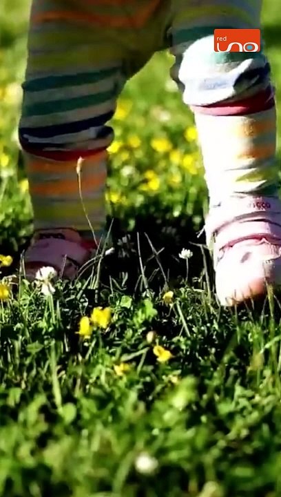 #EnRedUno | Te explicamos más sobre el pago de la asistencia familiar y como denunciar si tu pareja no paga.