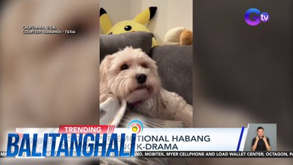 Aso, super emotional habang nanonood ng k-drama | Balitanghali