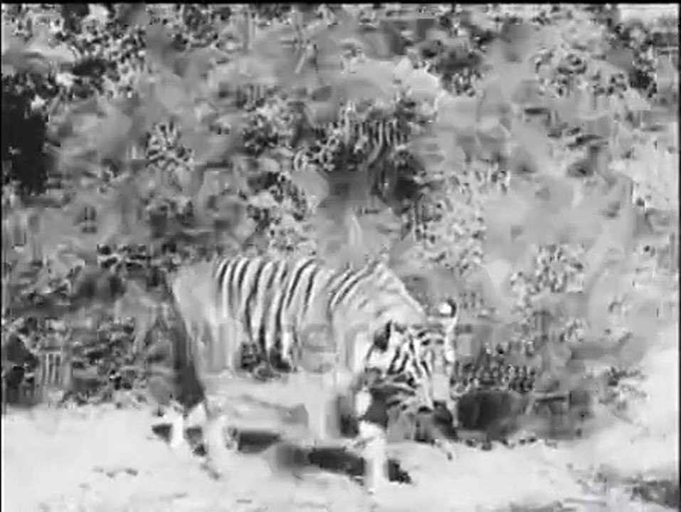 Tiger and snake fight