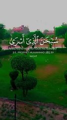 Most Beautiful And Peacefull Heart Touching Quran