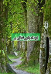 The Significance of Sacrifice in Islam 🕌