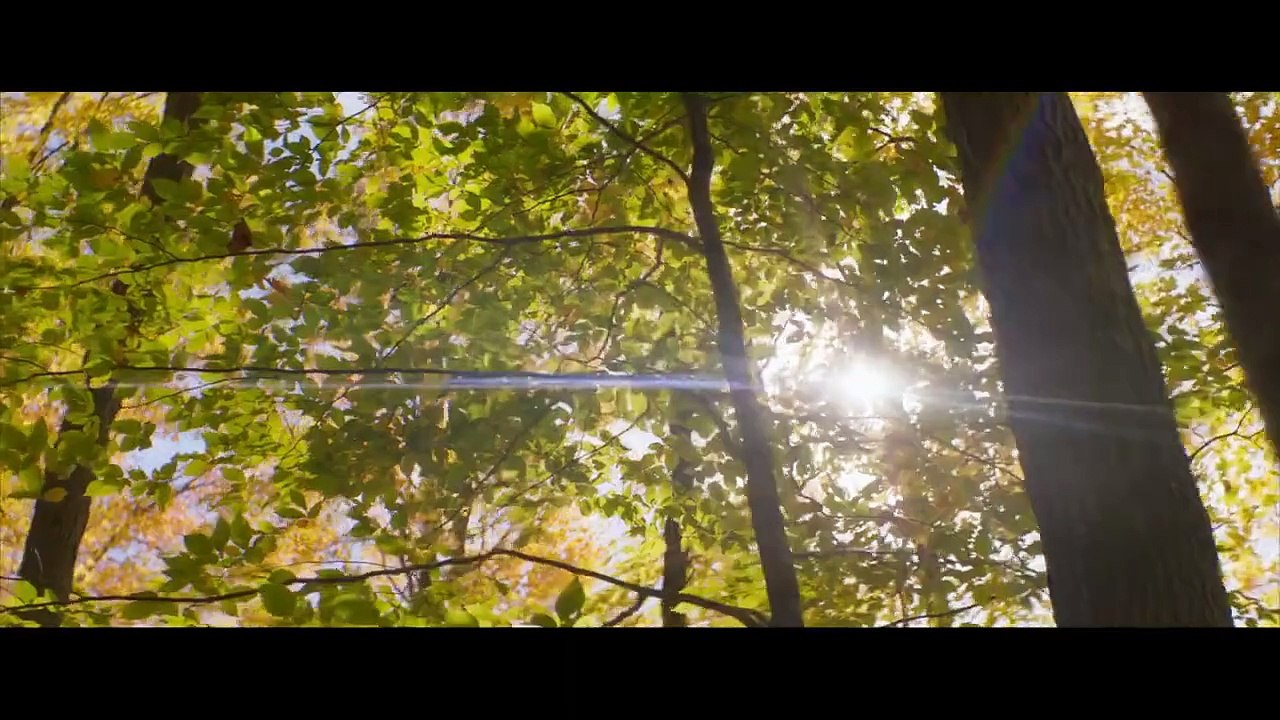 Falling Bande-annonce (ES)