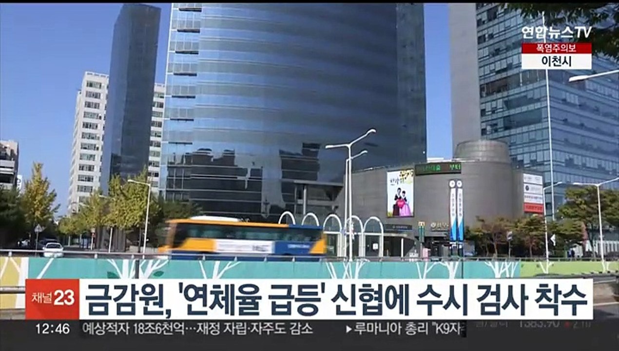 금감원, '연체율 급등' 신협에 수시 검사 착수
