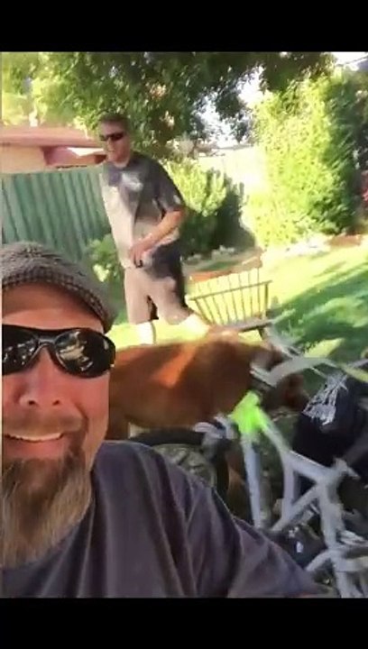 Funny Fails  - #funny #funnyfails #funnyvideo #humor #humour #humormemes #memes #memesvideo #fails