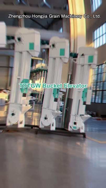 TDTG Bucket Elevator Conveyor | Continuous Bucket Elevator for Sale #bucketelevator #bucketconveyor