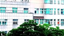 [English] 女孩被渣男劈腿羞辱和殘疾男人閃婚，婚後他雙腿痊癒真實身份竟是身價上億的霸總，對女孩百依百順，婚後生活膩歪的不行！