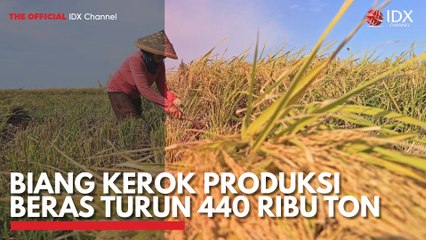 Biang Kerok Produksi Beras Turun 440 Ribu Ton