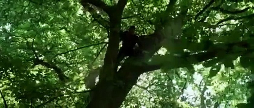 Robin des Bois - 20 juin