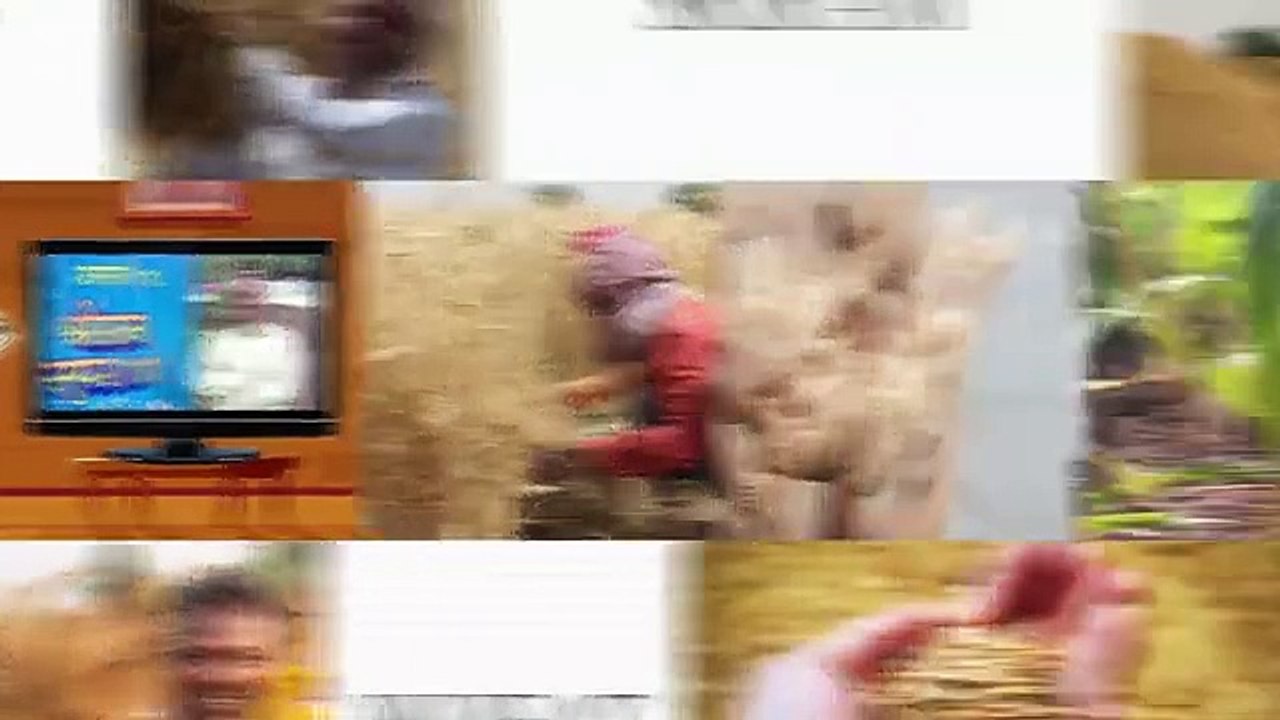 Agricultural Transformation: Shriram Super 111 Wheat in Maharashtra