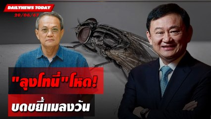 "ลุงโทนี่"โหด! บดขยี้แมลงวัน | DAILYNEWSTODAY 20/06/67