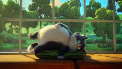 10 vidas - Tráiler oficial español