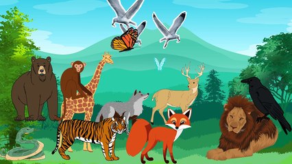 ali raza and aira ali vlog funny video