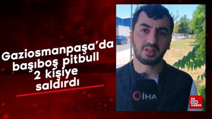 Gaziosmanpaşa'da başıboş pitbull 2 kişiye saldırdı