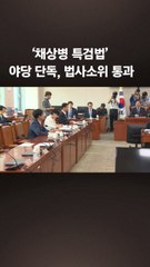 [속보] ‘채상병 특검법’ 야당 단독 국회 법사위 소위 통과