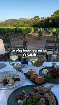 BAITO - LE PLUS BEAU RESTAURANT DE CASSIS ✨ Situé sur le domaine Bodin, dans la belle ville de Cassis, le restaurant Baïto est une réelle pépite dans les vignes. Avec sa cuisine extérieure et ouverte, vous retrouverez des produits frais & locaux et b