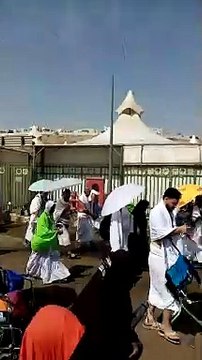 #Hajj 2024 pakistn Hajj Volunteer Group KSA Hajaj ko gide krty huy