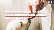 Mort d'une fillette de 7 mois, mordue par le chien de la famille