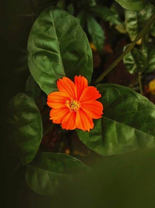 Photography