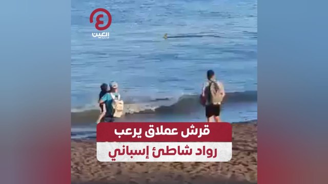 قرش عملاق يرعب رواد شاطئ إسباني