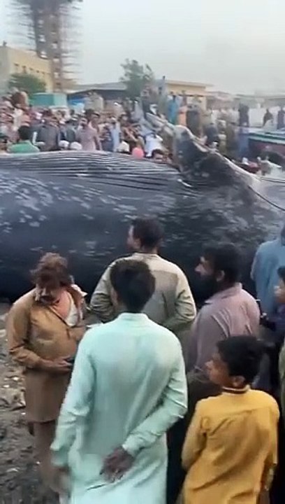 Karachi Fisheries ohh