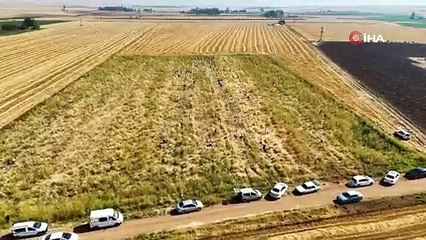 Satamadığı soğanı hayrına dağıttı, yüzlerce kişi tarlaya akın etti