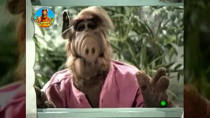 Альф. Сезон 2 - 15 серія.  Легендарний серіал "Альф"