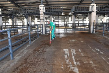 Osmangazi'de kurban pazarları temizlendi