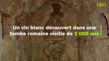Un vin blanc découvert dans une tombe romaine vieille de 2 000 ans