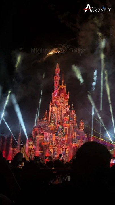 Night at Disney | AeronFly | Make Your Safar Suhana