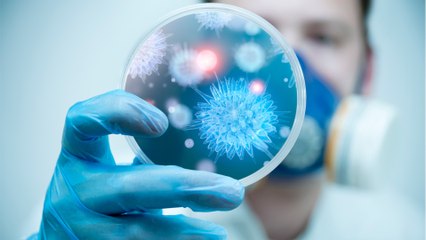 Welche Erreger könnten die nächste Epidemie auslösen?