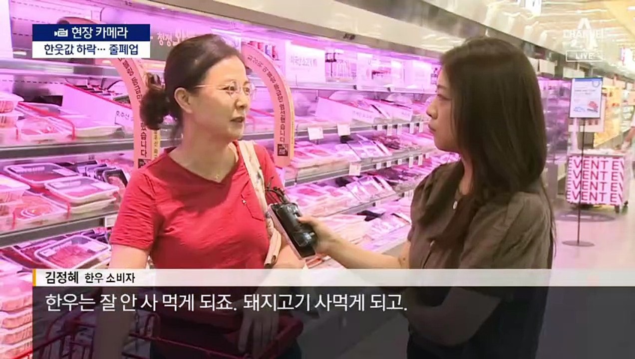 [현장 카메라]유통 거치며 20배 ‘껑충’ 한웃값