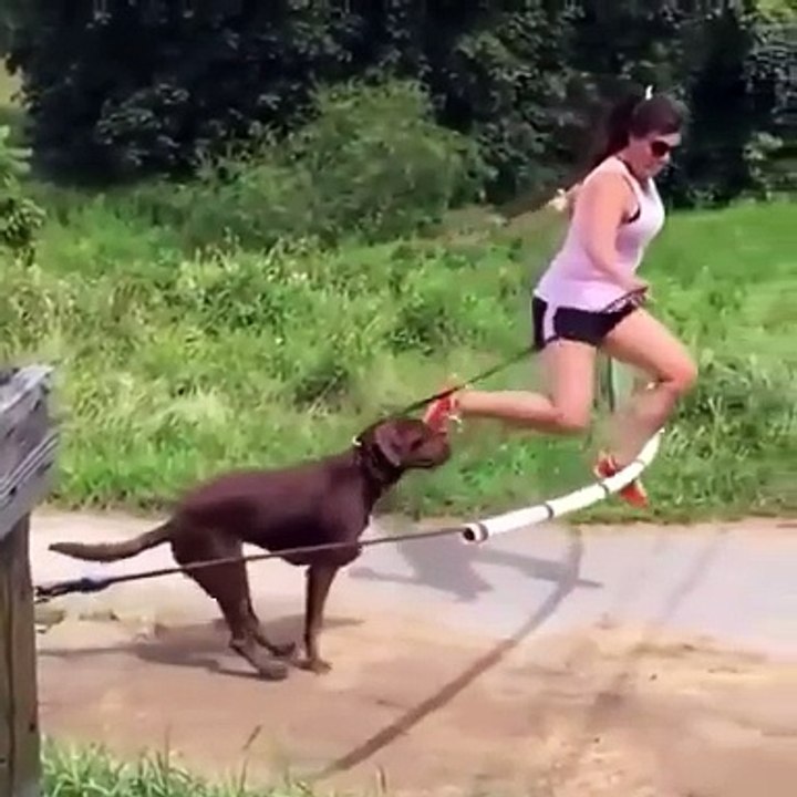 घर पर जिम वर्कआउट | 20 मिनट में फिट रहने के लिए सर्वश्रेष्ठ एक्सरसाइज़ | Home Gym Workout | Hindi & English Fitness Video