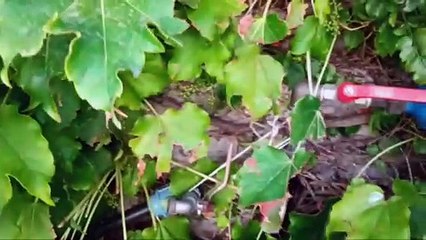 Emergenza acqua a Calamona, la denuncia degli abitanti