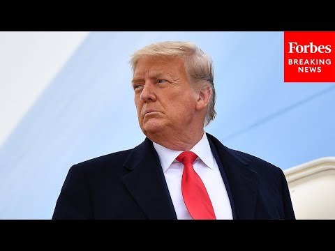 'Were Going To Close Up The Border': Trump Discusses What He Will Do If He Becomes President