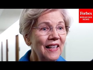 Warren Praises Biden Immigration Order: Children Don't Have To Come Home To Find Parent Missing