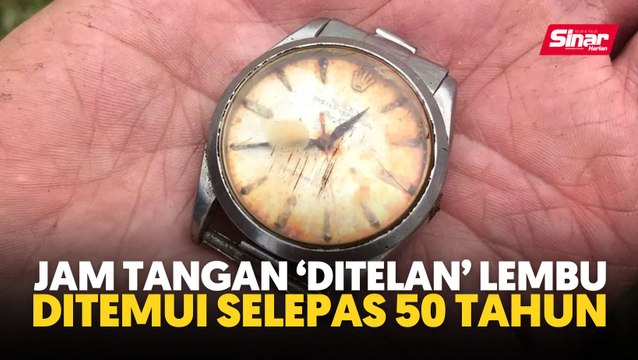 Jam tangan ‘ditelan’ lembu ditemui selepas 50 tahun