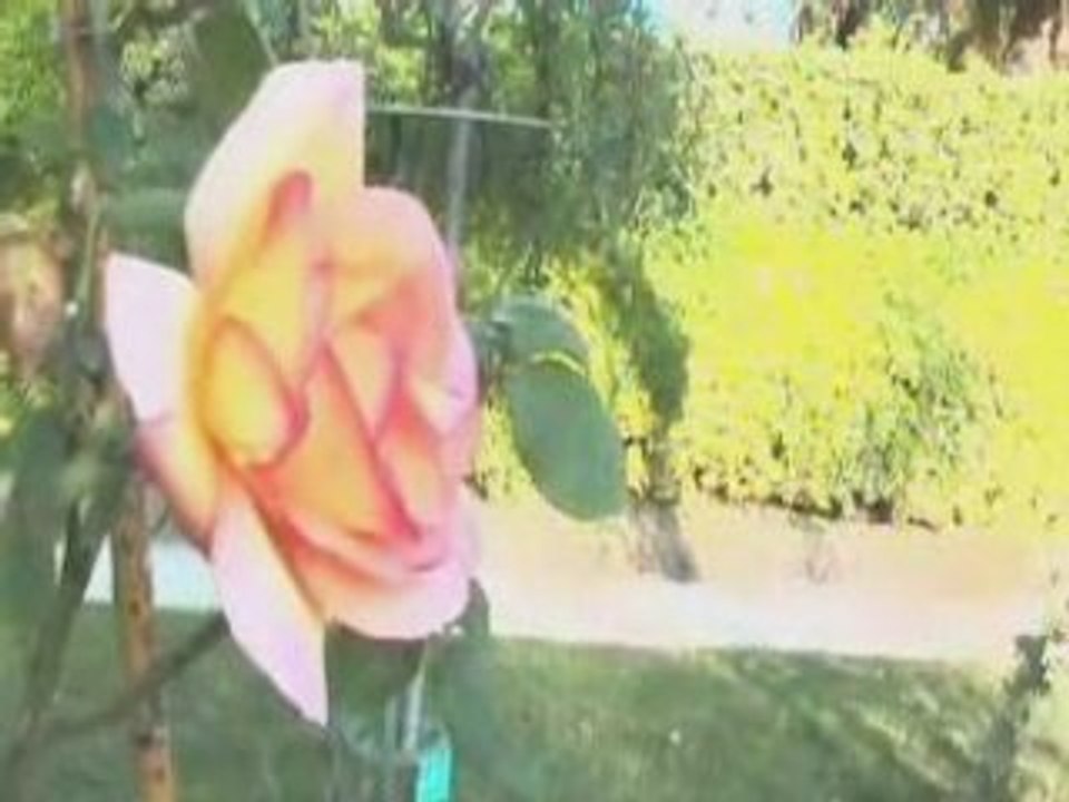 J'embrasse le printemps !….